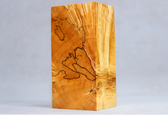 Stabilized Spalted Maple Wood Mod Block